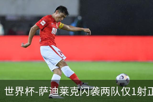 世界杯-萨迪莱克闪袭两队仅1射正 捷克半场暂1-0南非