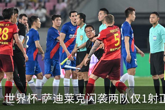 世界杯-萨迪莱克闪袭两队仅1射正 捷克半场暂1-0南非