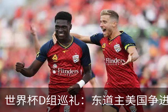 世界杯D组巡礼：东道主美国争进8强 土耳其巴拉圭澳洲混战