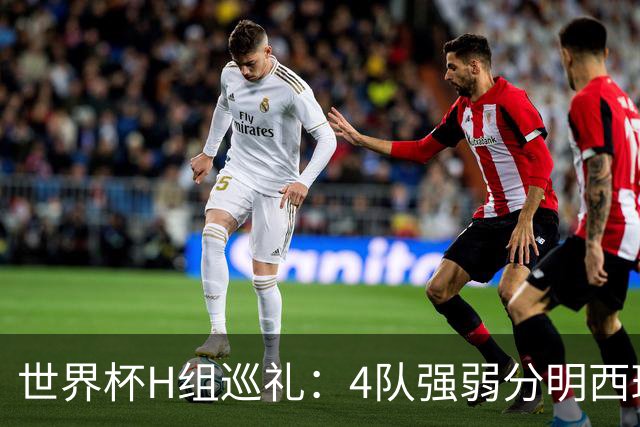 世界杯H组巡礼：4队强弱分明西班牙冲冠 佛得角首次亮相