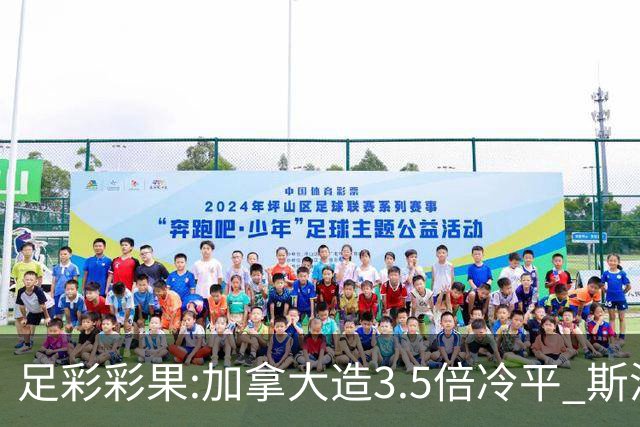足彩彩果:加拿大造3.5倍冷平 斯洛伐克2-2黑山